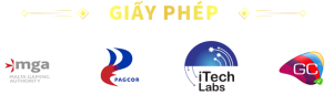 Giấy Phép S8